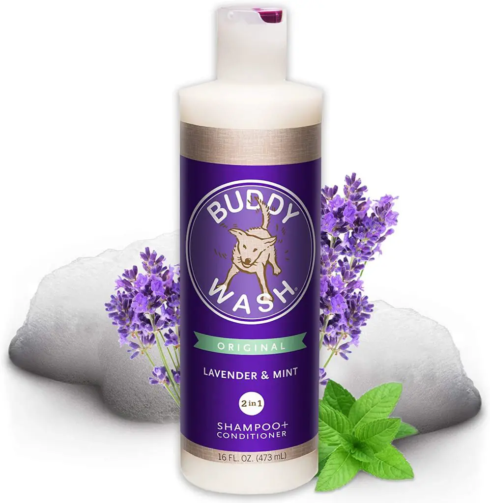 Buddy Wash Dog Shampoo Conditioner for Dogs with Botanical Extracts and Aloe Vera
