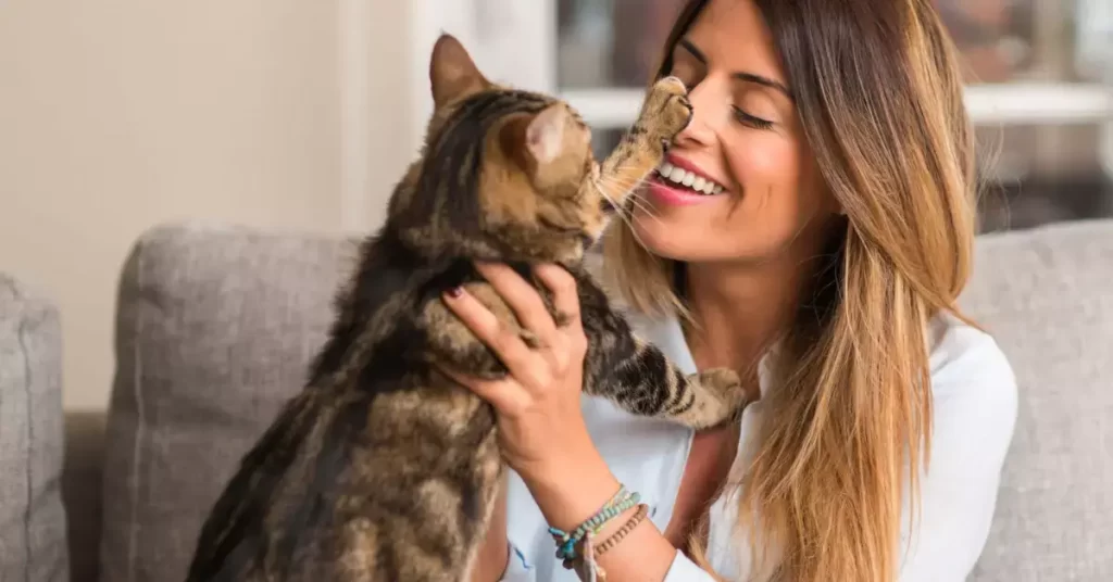 Cat Socialization Spend Time With Your Kitty