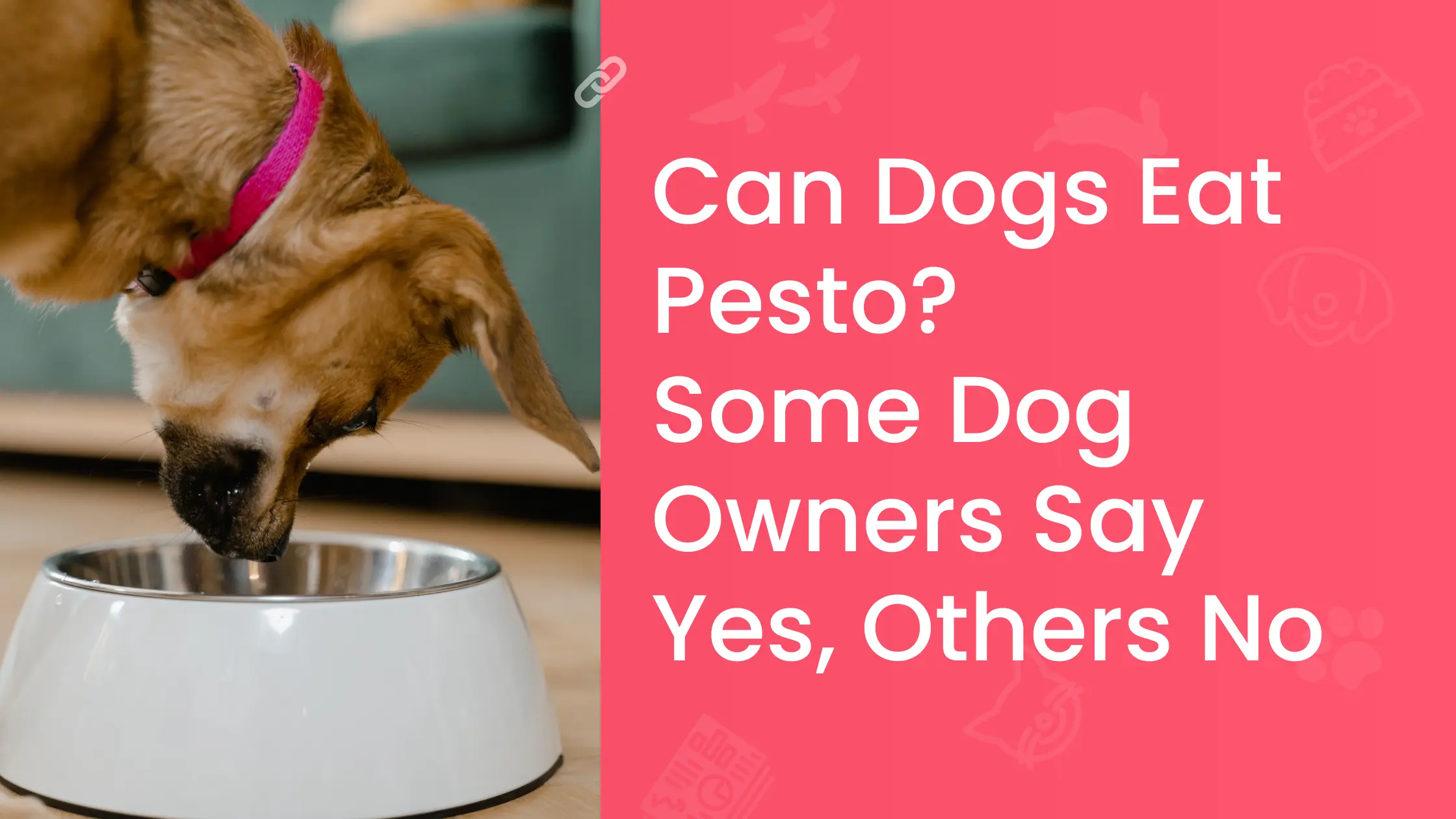 Can Dogs Eat Pesto Some Dog Owners Say Yes Others No
